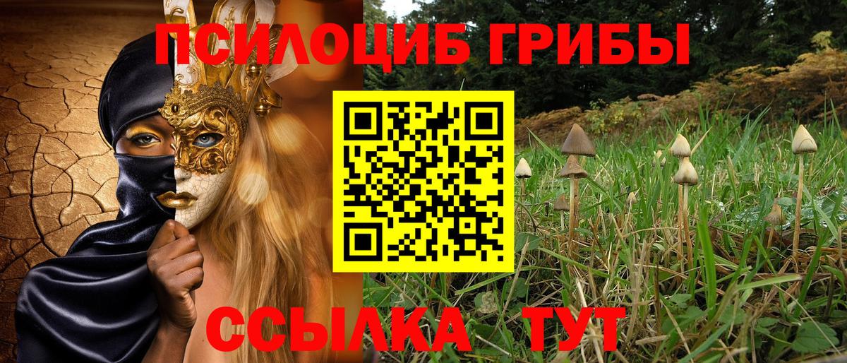 Псилоцибиновые грибы мухоморы Белорецк